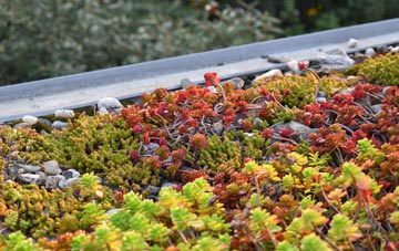 the cost of Wimbish green roof installation