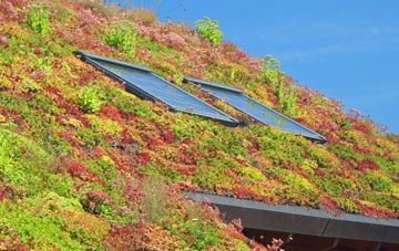 Wimbish living roof systems